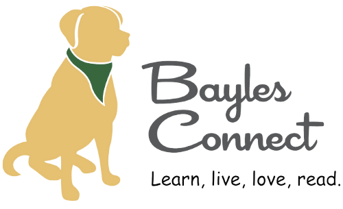 Bayles Connect